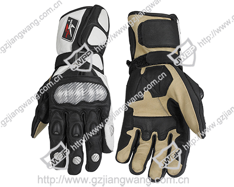 Motorcycle Glove